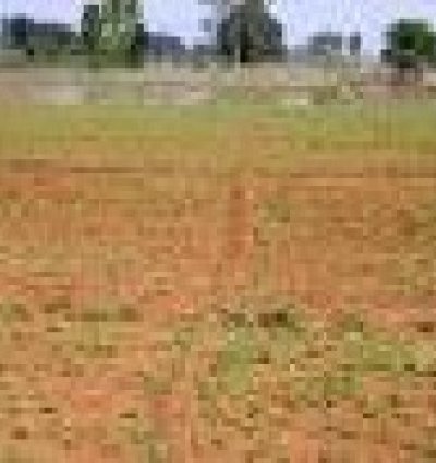 Agri LAND FOR SALE